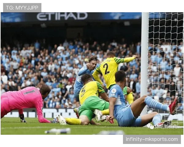 芬兰主场龙状态回暖，强势击败对手斩获关键胜利