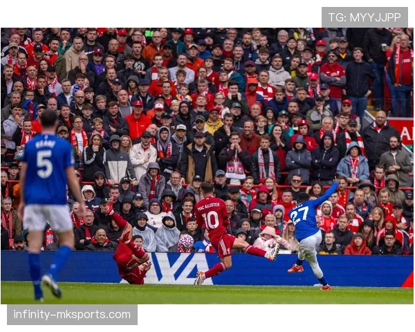 英超森林 英超森林